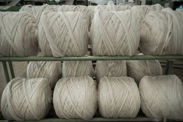 Merino Wool Combing Facility 2021